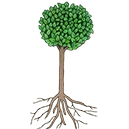 Bay Tree Flowers logo