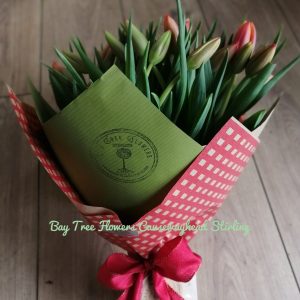 Tulip Medley