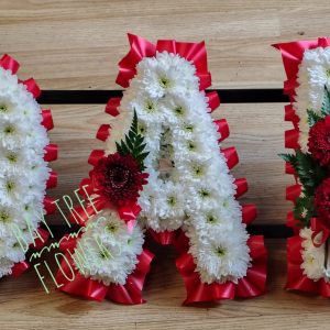 Dad  Letters
